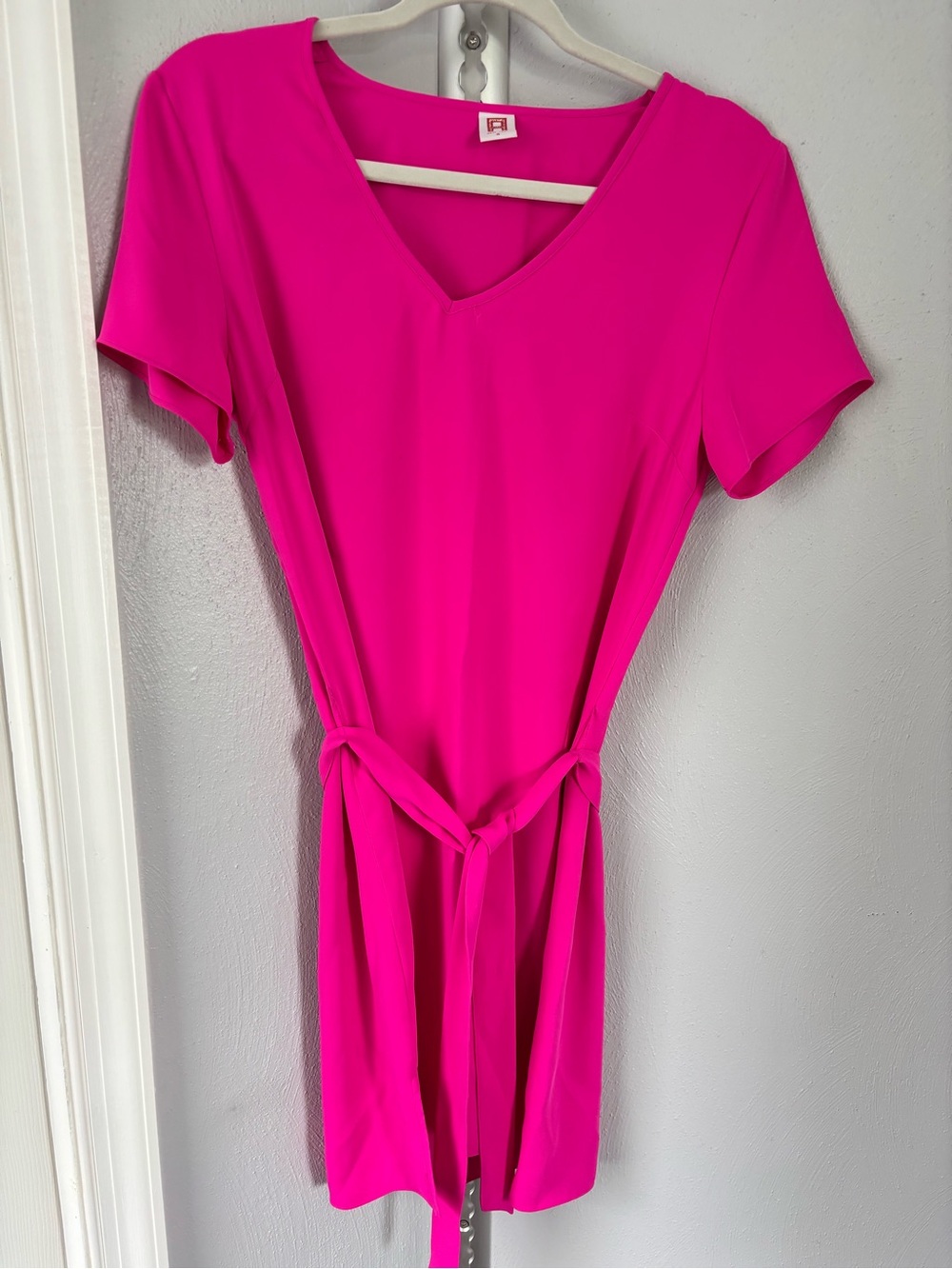 Vivid Pink V-Neck Tie-Waist Mini Dress